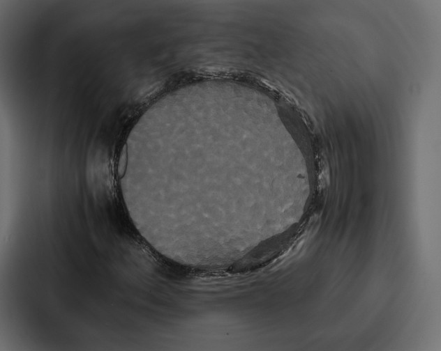 X0000086791156200705111809