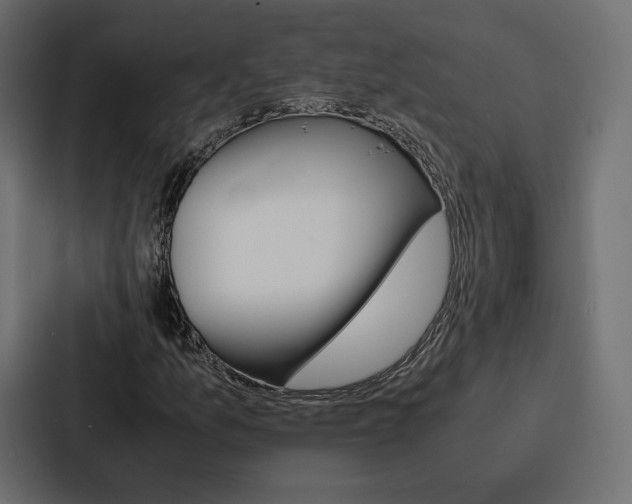 X0000086791157200705111809