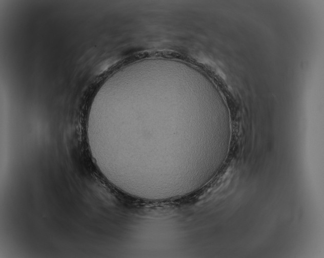 X0000086791159200705111809