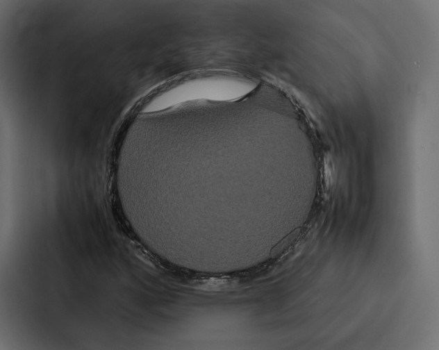 X0000086791160200705111809