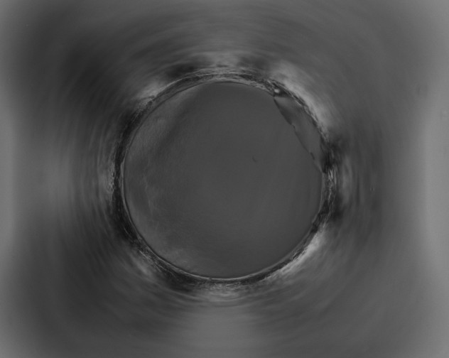 X0000086791161200705111809