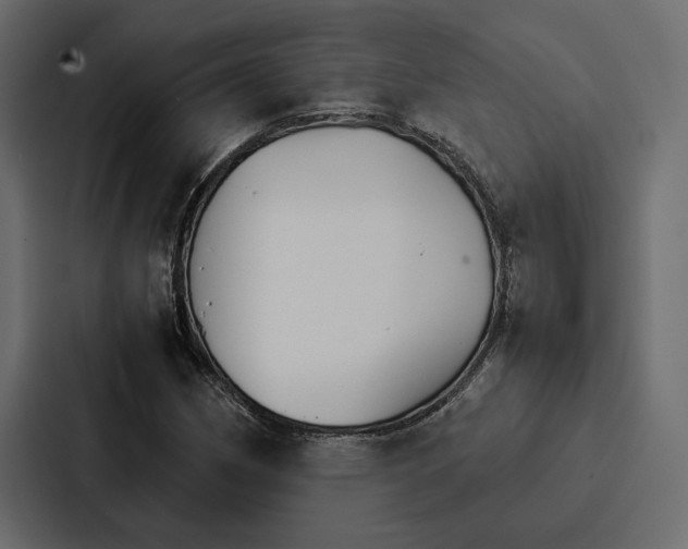 X0000086791162200705111809