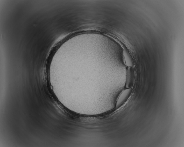 X0000086791164200705111809