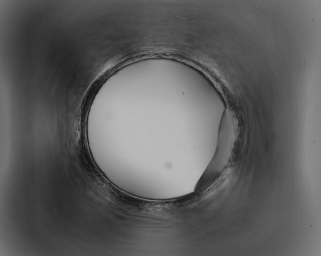 X0000086791165200705111809