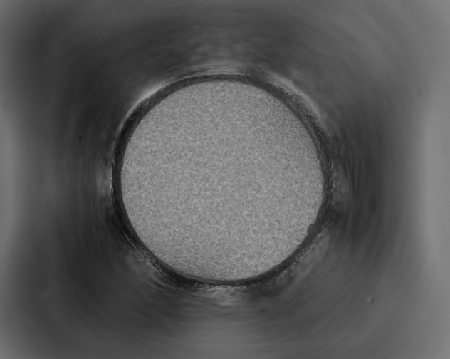 X0000086791166200705111809