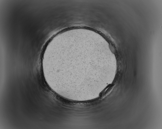 X0000086791167200705111809