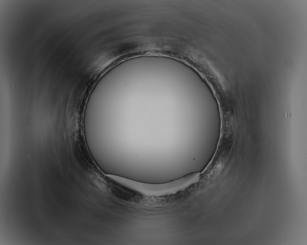 X0000086791169200705111809