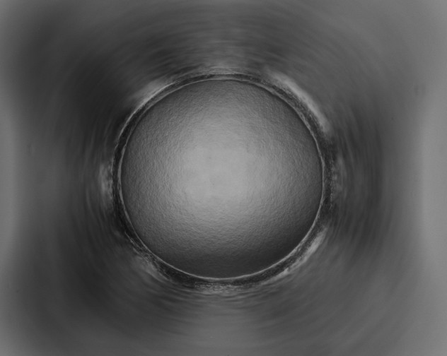 X0000086791170200705111809