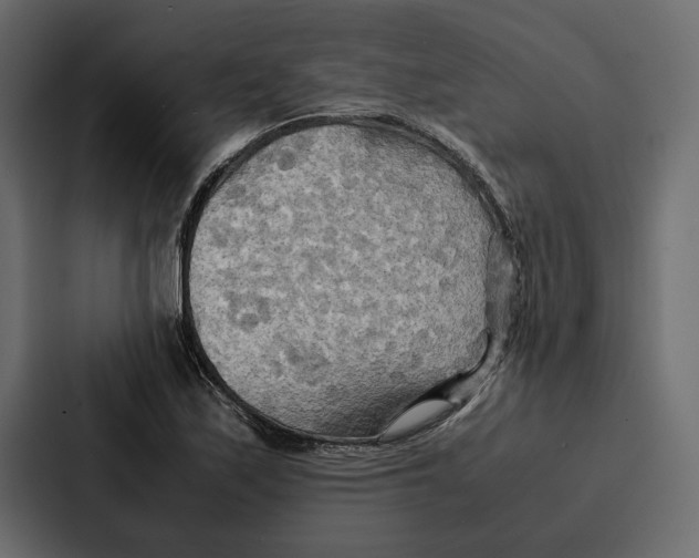 X0000086791171200705111809