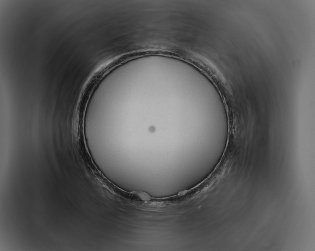 X0000086791172200705111809