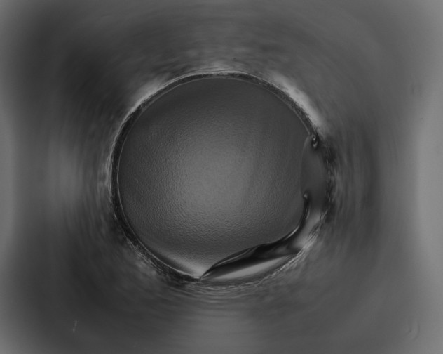 X0000086791173200705111809