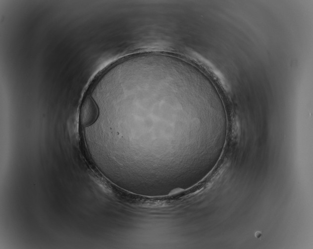 X0000086791174200705111809