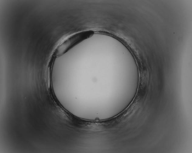 X0000086791175200705111809