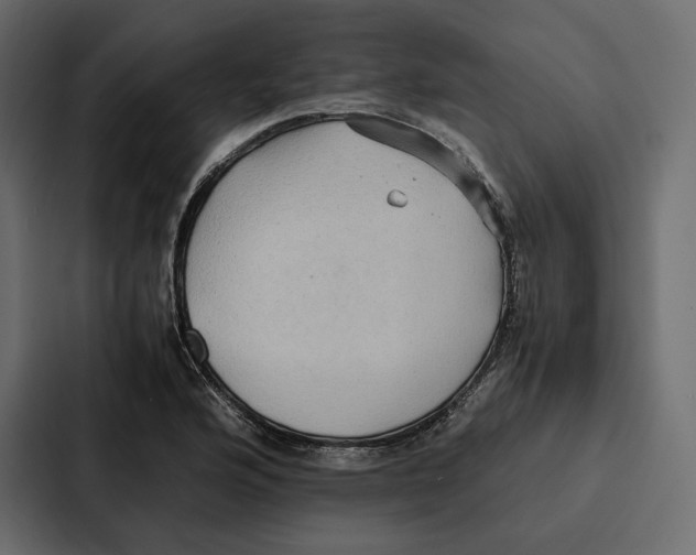 X0000086791176200705111809