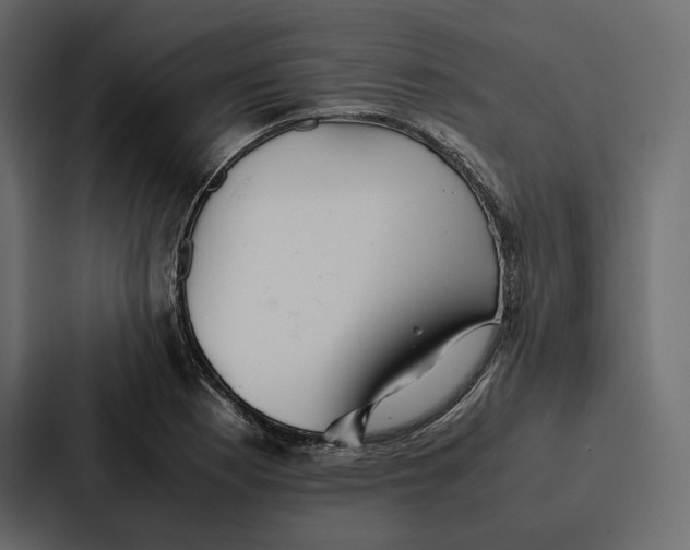 X0000086791177200705111809