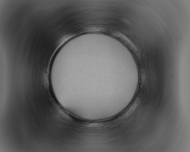 X0000086791178200705111809