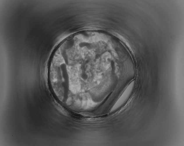 X0000086791179200705111809