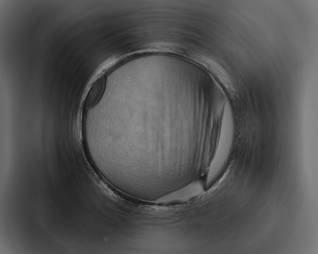 X0000086791180200705111809