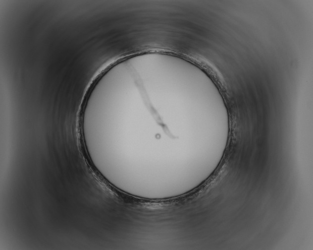 X0000086791182200705111809