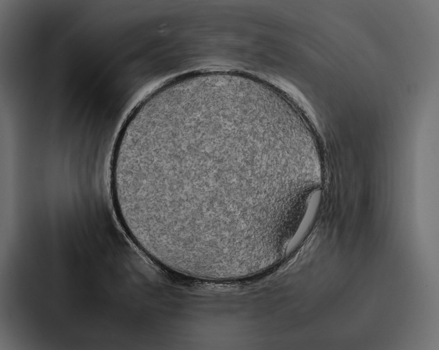 X0000086791183200705111809