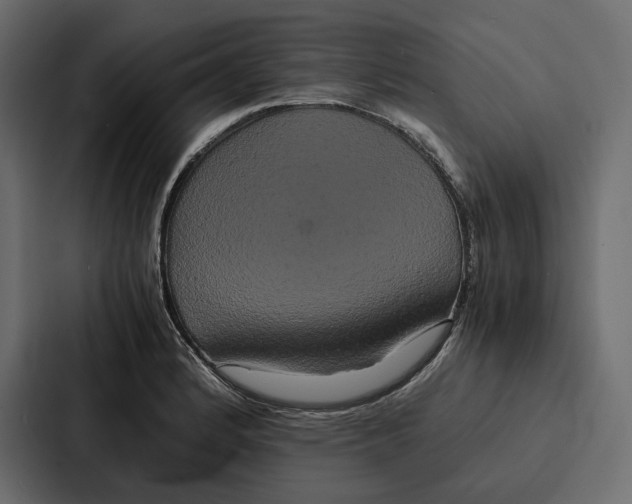 X0000086791184200705111809