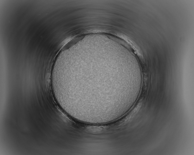 X0000086791185200705111809