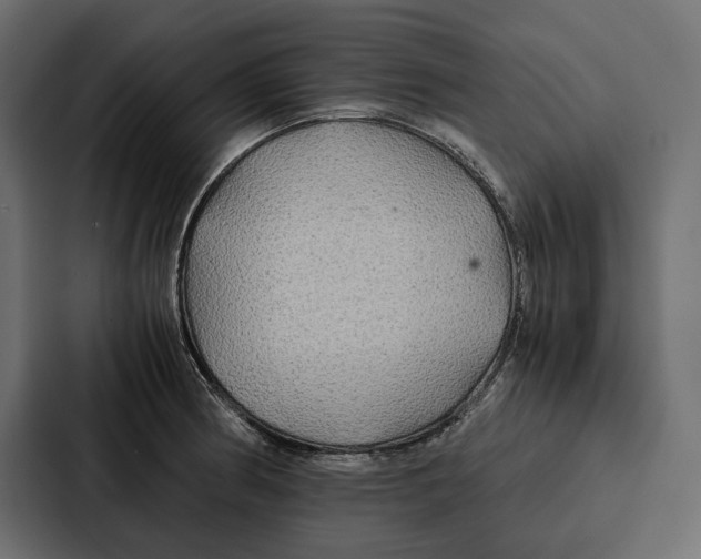 X0000086791186200705111809