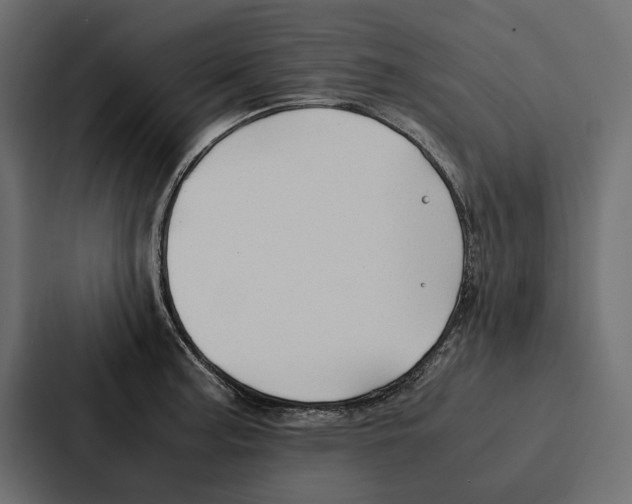 X0000086791187200705111809