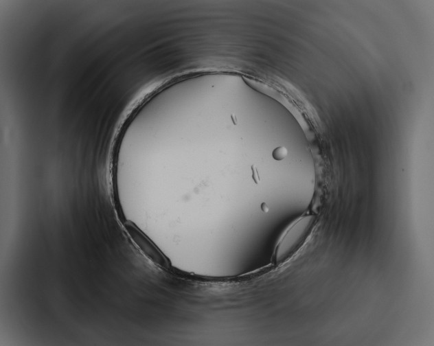 X0000086791188200705111809