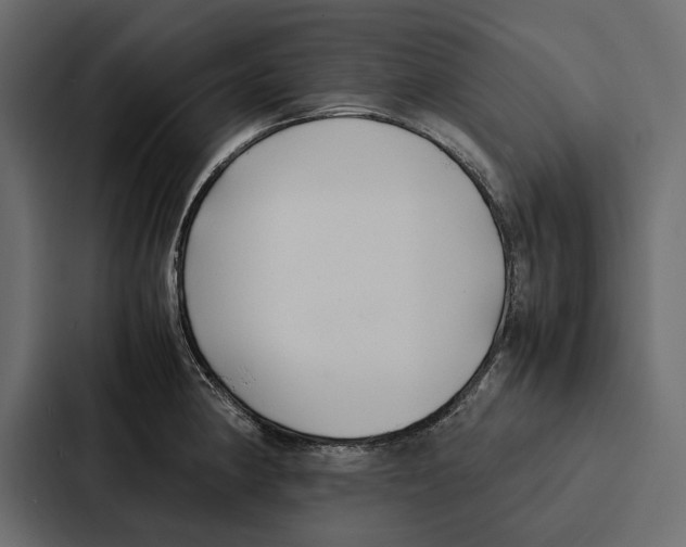 X0000086791190200705111809