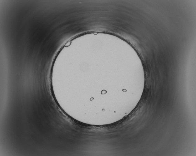 X0000086791191200705111809