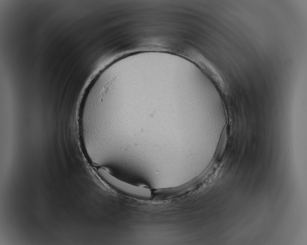 X0000086791192200705111809