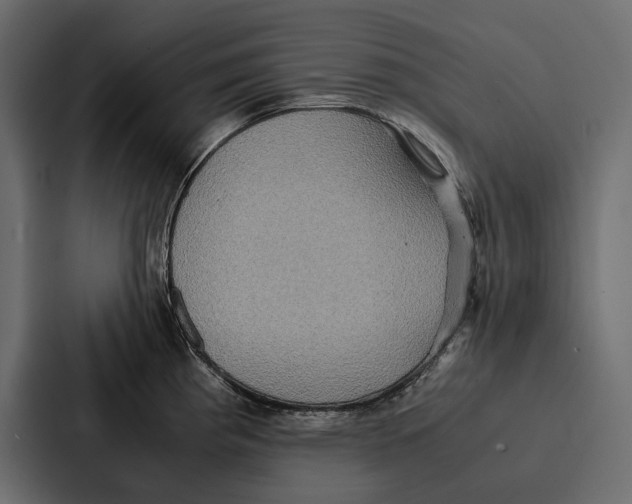 X0000086791193200705111809