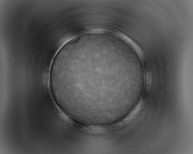 X0000086791194200705111809