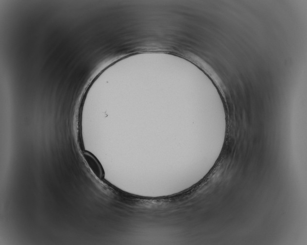 X0000086791195200705111809