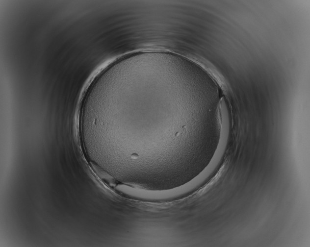 X0000086791196200705111809