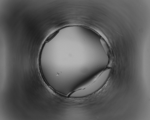 X0000086791197200705111809