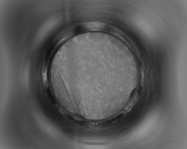 X0000086791198200705111809