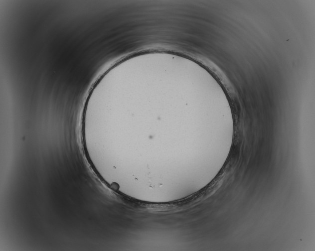 X0000086791199200705111809