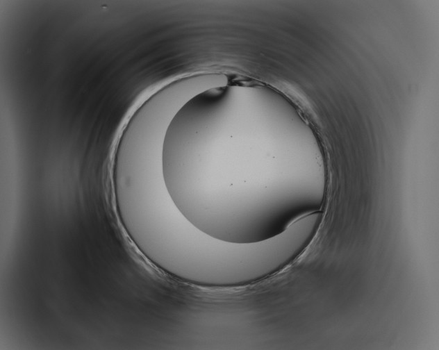 X0000086791200200705111809