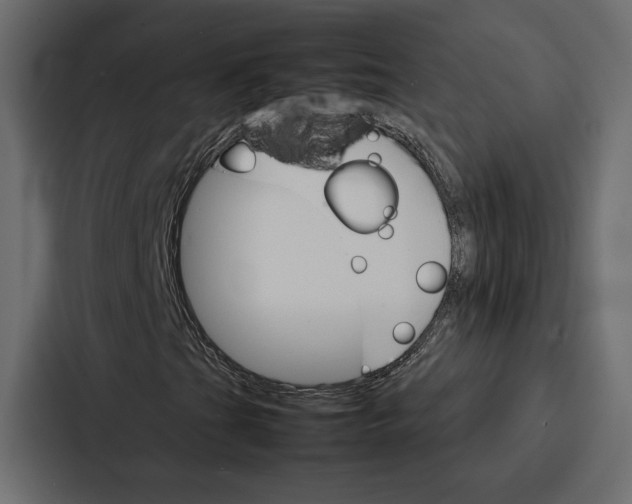 X0000086791201200705111808