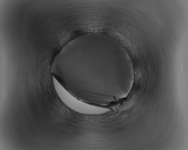 X0000086791202200705111808