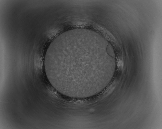 X0000086791204200705111808