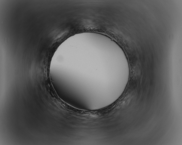 X0000086791205200705111808