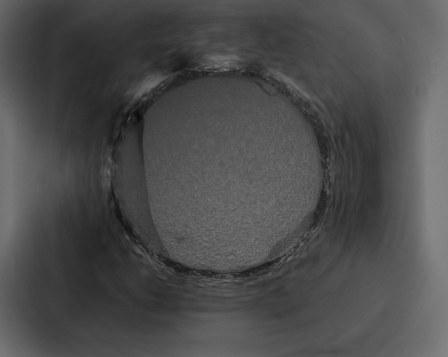 X0000086791206200705111808