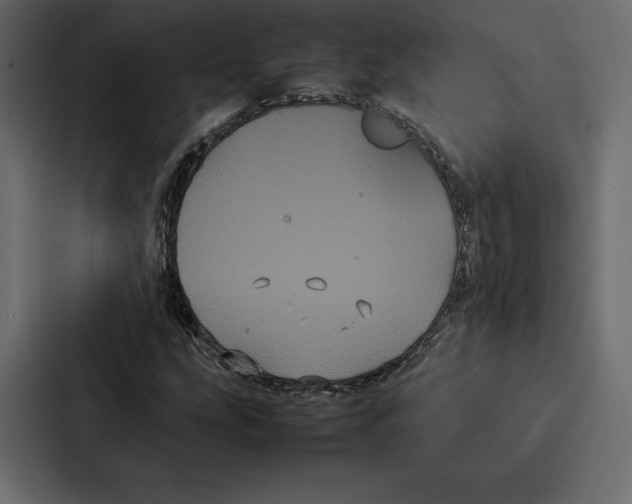 X0000086791207200705111808