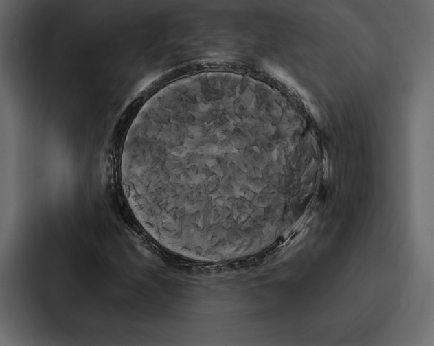 X0000086791208200705111808