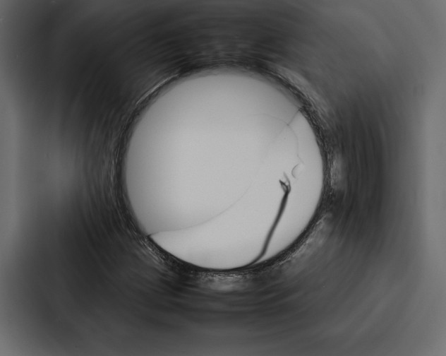 X0000086791209200705111808