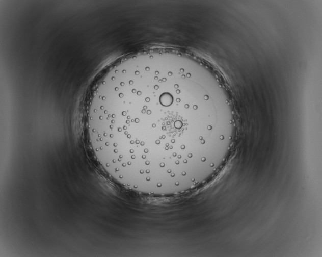 X0000086791211200705111808