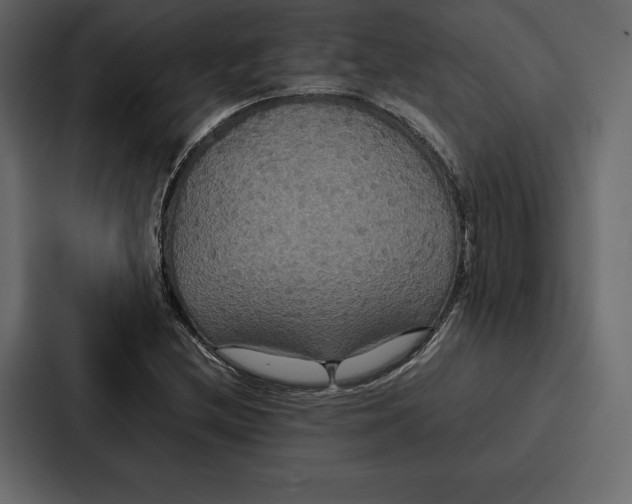 X0000086791212200705111808